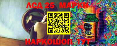 стаф Майкоп