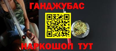 стаф Майкоп