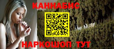 стаф Майкоп