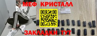 стаф Майкоп
