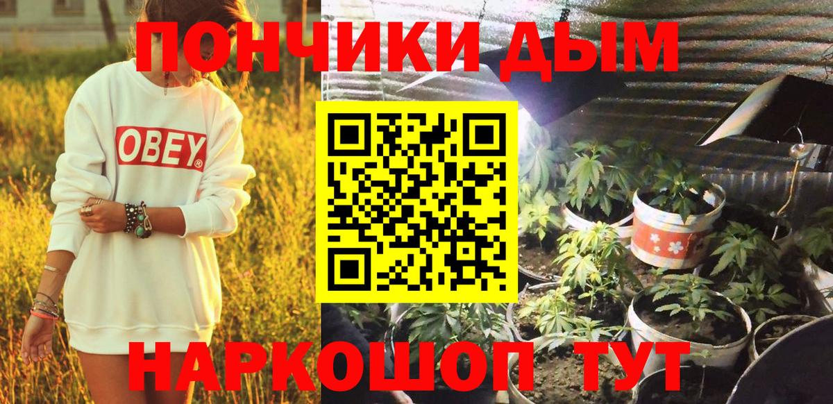 Конопля Bruce Banner  Бошки марихуана VHQ  Лабытнанги  Вход с VPN 